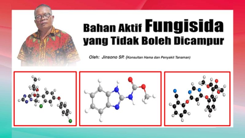 Bahan Aktif Fungisida Yang Tidak Boleh Dicampur Di Growsitus Resmi