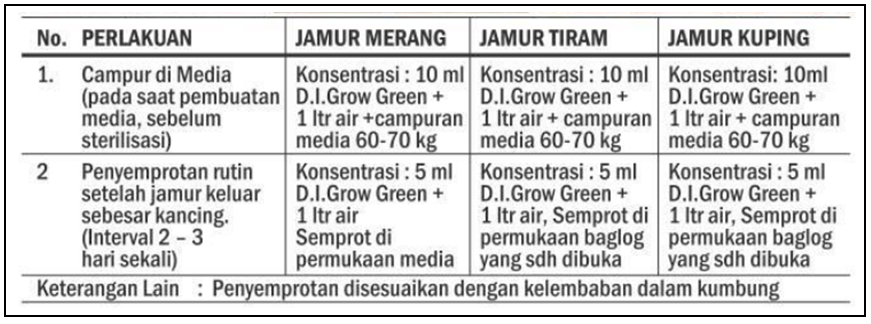 Digrow jamur