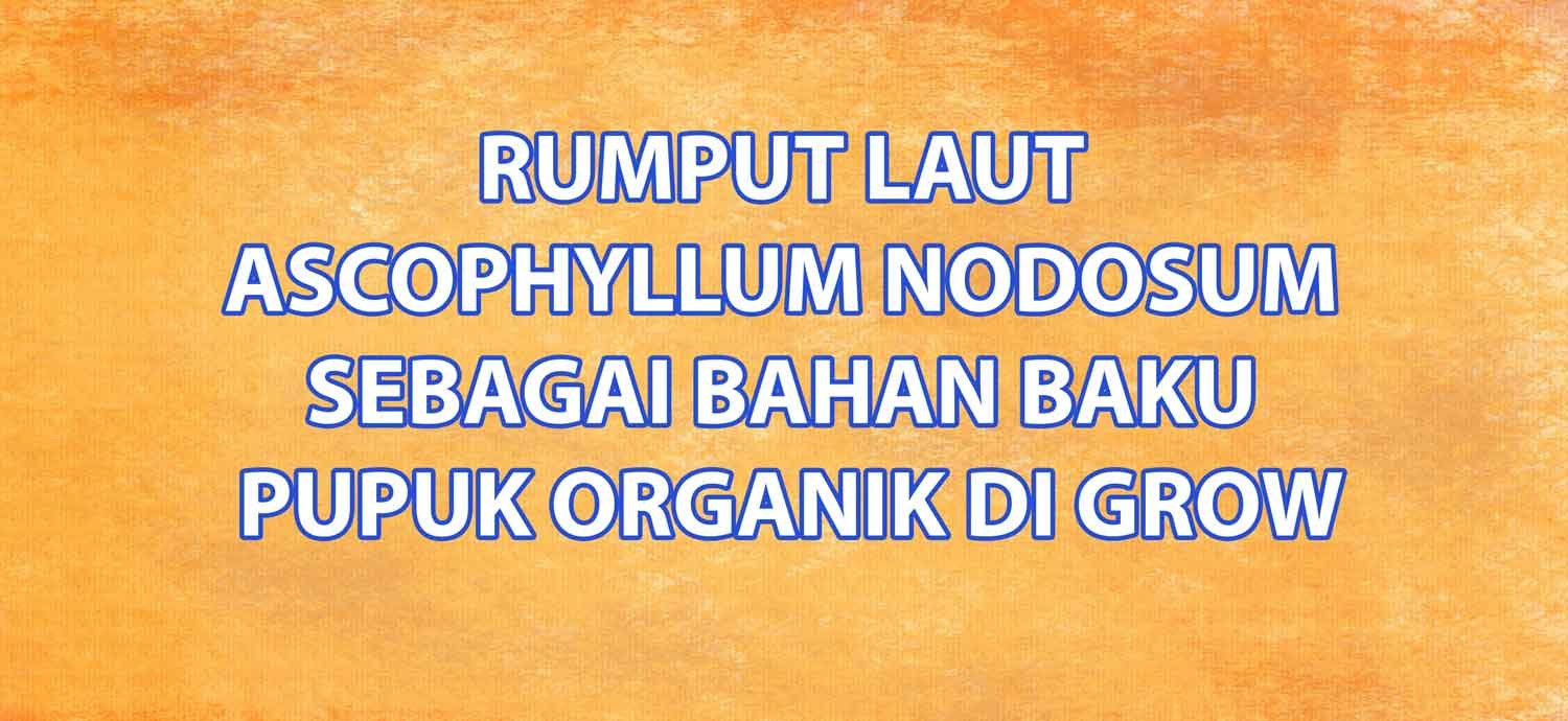 Read more about the article Rumput Laut Ascophyllum Nodosum Sebagai Bahan Baku Pupuk Organik DI Grow