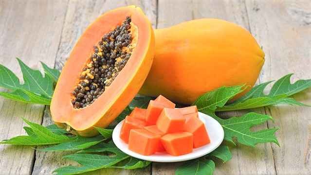 Read more about the article PENGENDALIAN HAMA DAN PENYAKIT TANAMAN PEPAYA