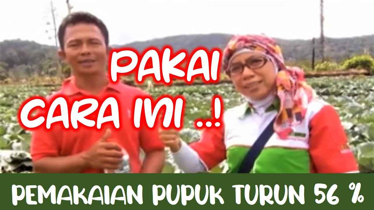 Read more about the article PAKAI CARA INI…! PEMAKAIAN PUPUK KIMIA TURUN 56 %