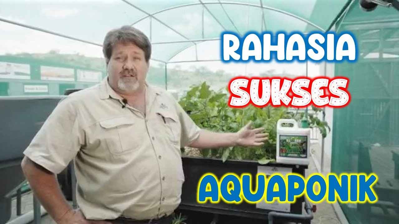 Read more about the article RAHASIA SUKSES BERTANI SISTEM AQUAPONIK