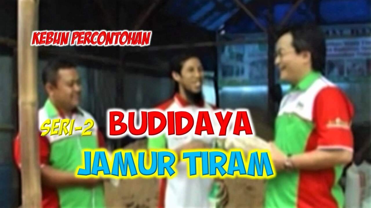 Read more about the article SERI 2. BUDIDAYA JAMUR TIRAM – KEBUN PERCONTOHAN DI.GROW