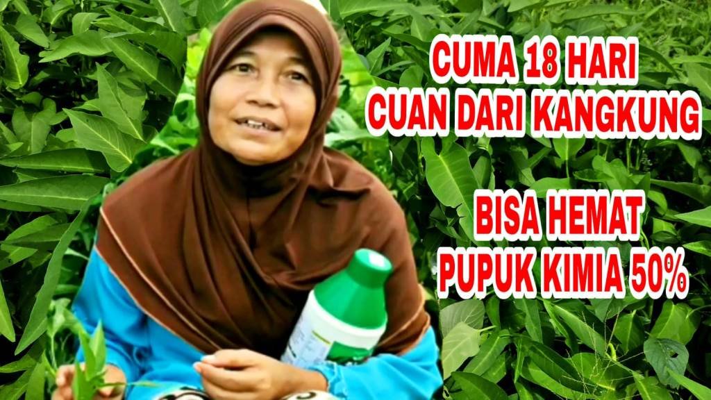 Read more about the article DEMPLOT DIGROW PADA TANAMAN KANGKUNG