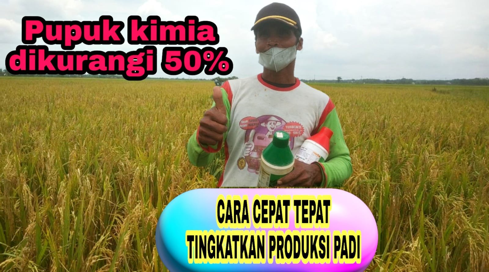 Read more about the article CARA CEPAT TEPAT TINGKATKAN PRODUKSI PADI