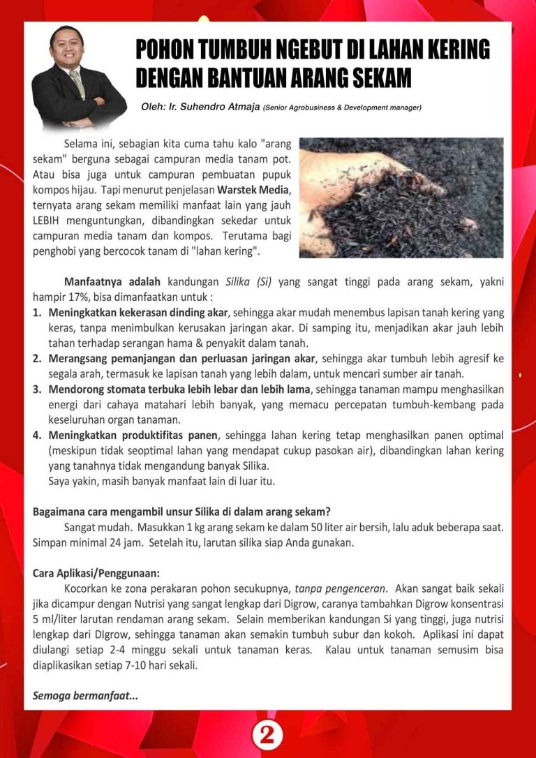 Demplot Hama E-Bulletin Digrow Nopember 2023 - DI GROW—Situs Resmi