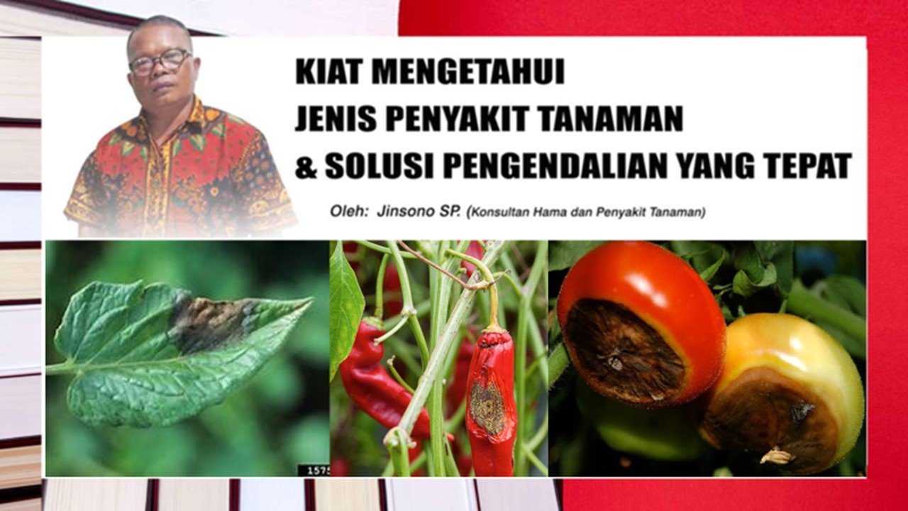 Read more about the article KIAT MENGETAHUI JENIS PENYAKIT TANAMAN & SOLUSI PENGENDALIAN YANG TEPAT