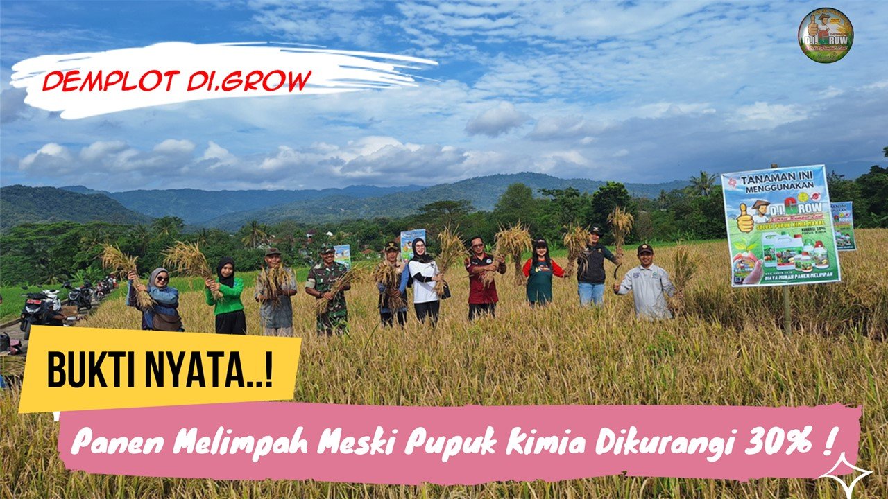 Read more about the article Demplot DI.Grow : Panen Naik 20% ! Meski Pupuk Kimia Dikurangi 30% !