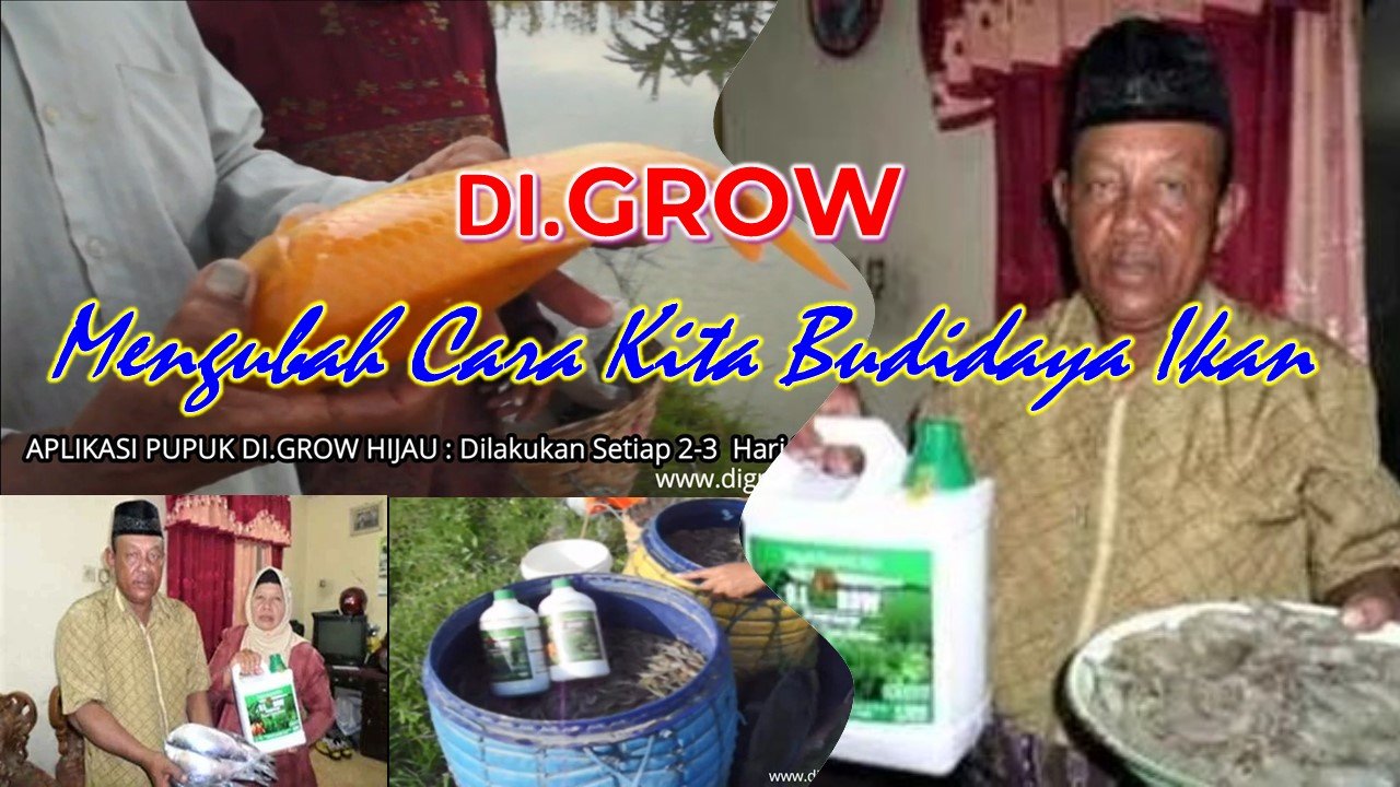 Read more about the article Rahasia DI.GROW – Alginat Mengubah Cara Kita Budidaya Ikan