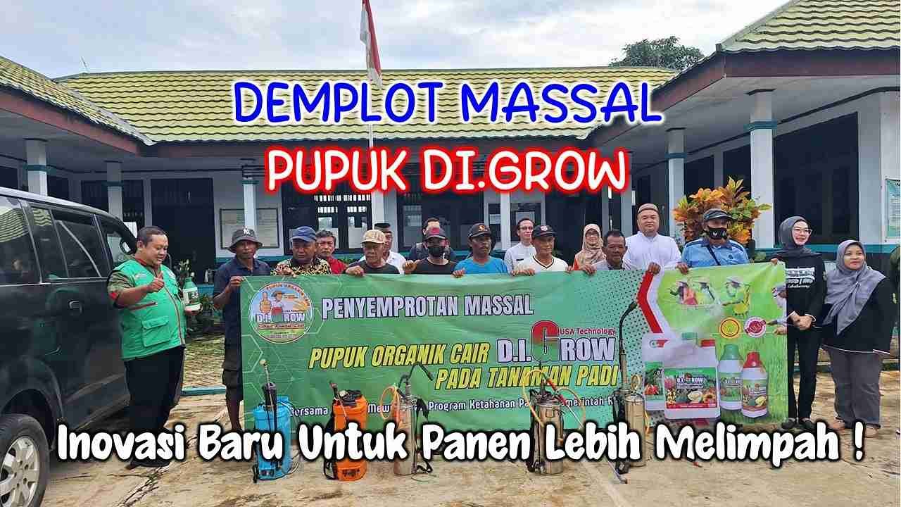 Read more about the article Efektivitas Pupuk DI.Grow Dalam Meningkatkan Produktivitas Padi Varietas Inpari-32