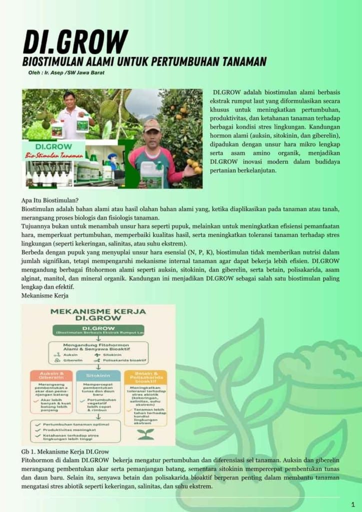Layout Demplot Sayuran E-Bulletin DI.Grow November 2025 - DI GROW—Situs Resmi