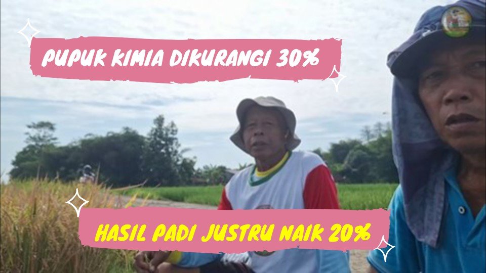 Read more about the article PUPUK KIMIA DIKURANGI 30%, HASIL PADI JUSTRU NAIK 20%