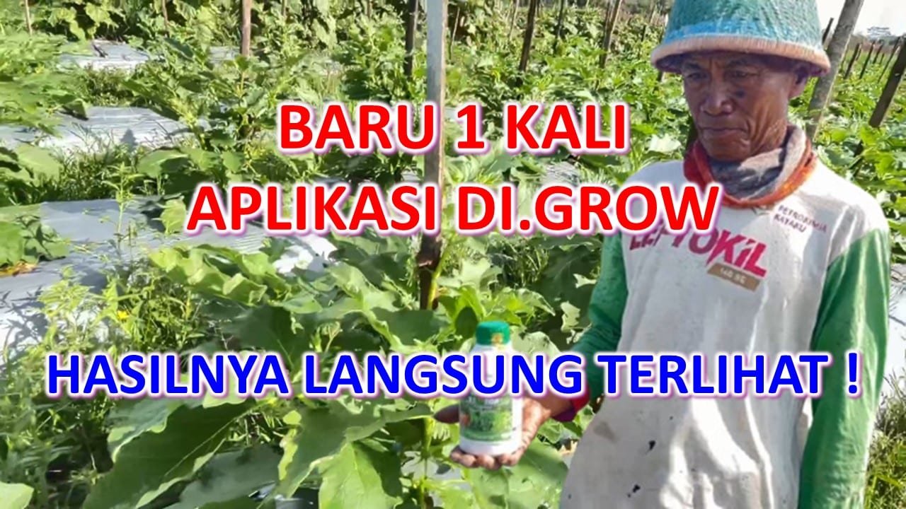 Read more about the article BARU 1 KALI APLIKASI DI.GROW, PERBEDAANNYA SUDAH TERLIHAT !