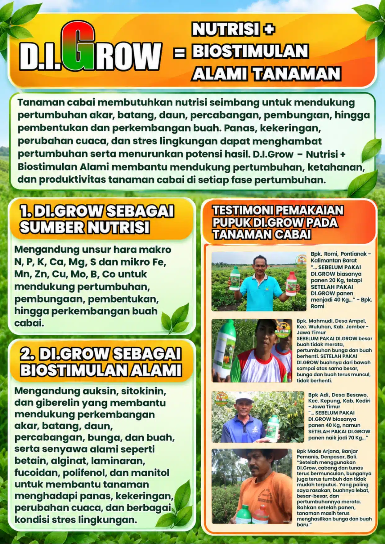 Brosur Cabai DI. GROW - DI GROW—Situs Resmi